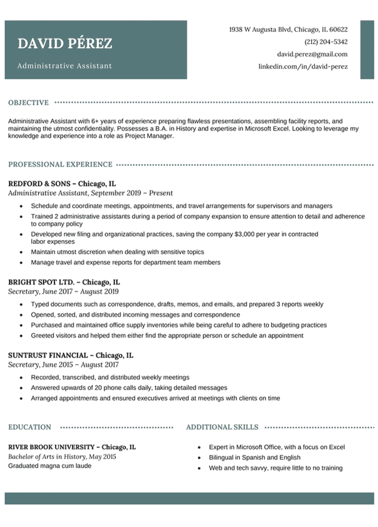 professional-cv